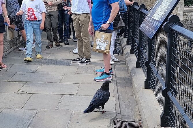 Tower of London: Guided Tour with Thames River Cruise - The Thames cruise: a useful extra, with a catch