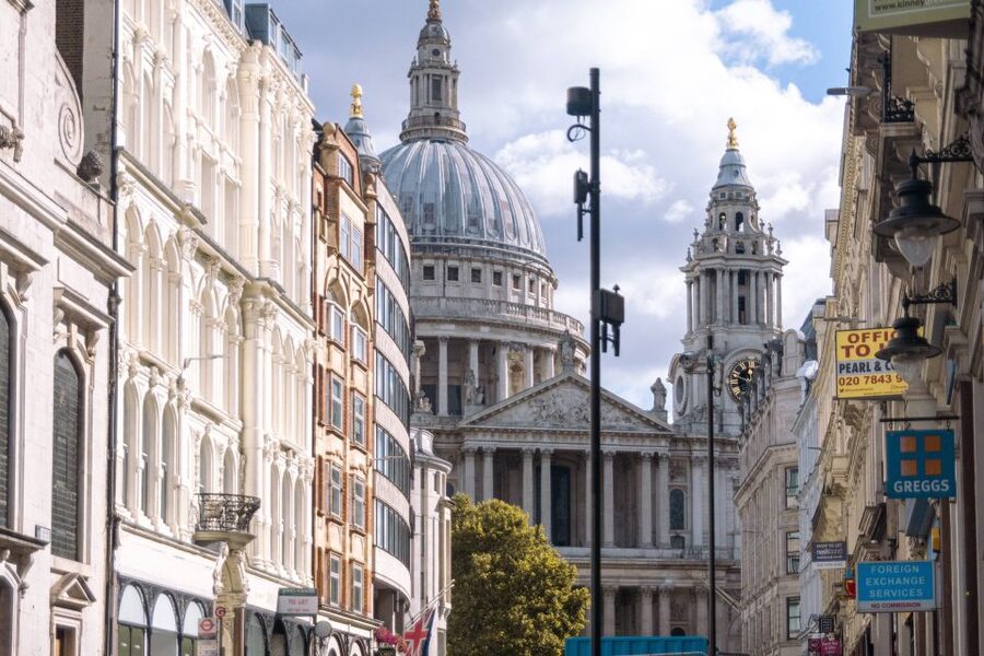 Westminster to Tower Bridge Customized Tour with a Local - What the private format adds